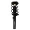 Front Strut Spring Assembly RF