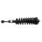 Front Strut Spring Assembly RF