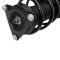 Front Strut Spring Assembly RF