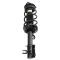 Strut & Spring Assembly