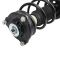 Strut & Spring Assembly