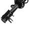 Strut & Spring Assembly