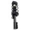 Strut & Spring Assembly
