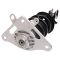 Strut & Spring Assembly