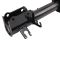 Strut & Spring Assembly