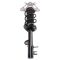 Strut & Spring Assembly