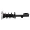 Strut & Spring Assembly