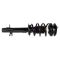 Strut & Spring Assembly