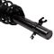 Strut & Spring Assembly