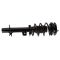 Strut & Spring Assembly