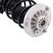 Strut & Spring Assembly