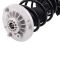 Strut & Spring Assembly