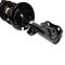 Front Strut Spring Assembly RF