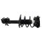 Front Strut Spring Assembly LF