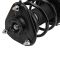 Front Strut Spring Assembly RF