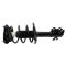 Front Strut Spring Assembly RF