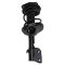 Front Strut Spring Assembly RF
