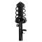 Front Strut Spring Assembly RF