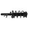 Front Strut Spring Assembly RF