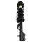 Front Strut Spring Assembly LF