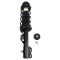 Front Strut Spring Assembly LF