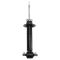 Strut Assembly