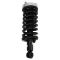 Strut & Spring Assembly