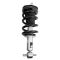Strut & Spring Assembly