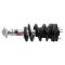 Strut & Spring Assembly