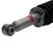 Strut & Spring Assembly