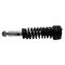 Strut & Spring Assembly