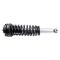 Strut & Spring Assembly