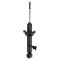 Strut Assembly
