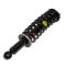 Strut Assembly