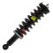 Strut Assembly
