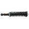 Strut Assembly