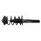 Strut & Spring Assembly