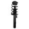 Strut & Spring Assembly