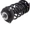 Strut & Spring Assembly