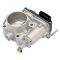 Throttle Body Assembly