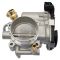 Throttle Body Assembly