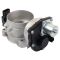 Throttle Body Assembly