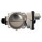 Throttle Body Assembly