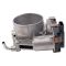 Throttle Body Assembly