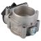 Throttle Body Assembly