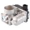 Throttle Body Assembly