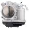 Throttle Body Assembly