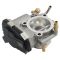 Throttle Body Assembly