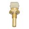 Coolant Temperature Sensor - Delphi