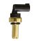 Coolant Temperature Sensor - Delphi